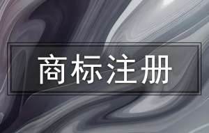 蕪湖商標申請駁回原因破解和提速技巧